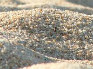 Areia Lavada Grossa Areia Lavada Grossa